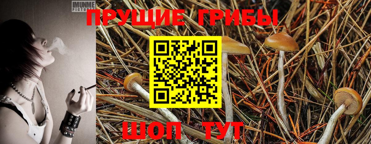 Канабис  Вход с VPN  ГАШ  LSD-25  Жуковский  МЕФ   ГАШ  COCAIN  Кодеин 