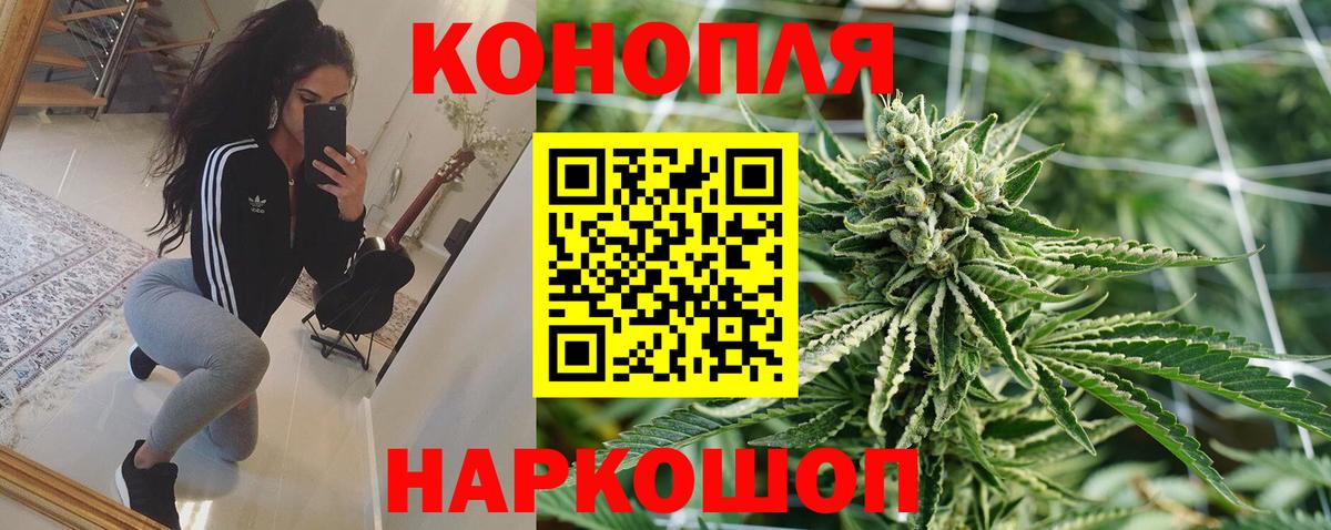 Бошки Шишки семена Жуковский